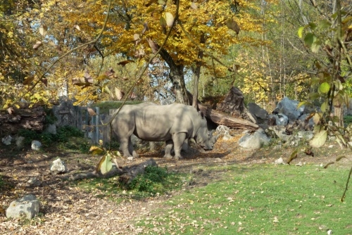 Zoo Salcburk - jsou tu i zvířata, která dnes nežijí už v mnoha zoologických zahradách