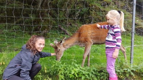 Za zvířátky a rybolovem do Freizeit & Wildpark Untertauern - opravdu  zblízka se potkáte například s jeleny, někteří se nechají i pohladit