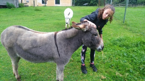 Za zvířátky a rybolovem do Freizeit & Wildpark Untertauern - oslík jako vystřižený ze Shreka