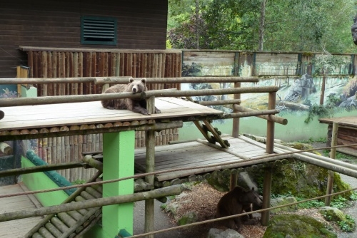 WILD & FREIZEITPARK FERLEITEN