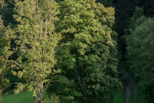 Krátký výšlap na Winterbauer Hütte