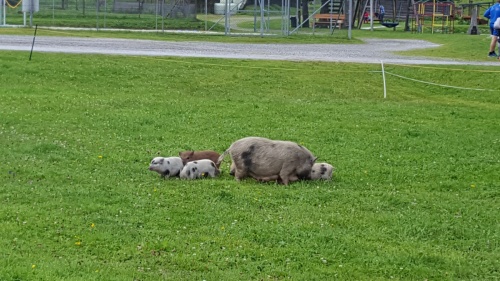 Za tento výlet dostanete od svých dětí zaručeně pochvalu !