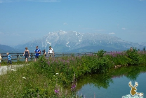 Dovolená v létě v srdci rakouských Alp - SKI AMADE