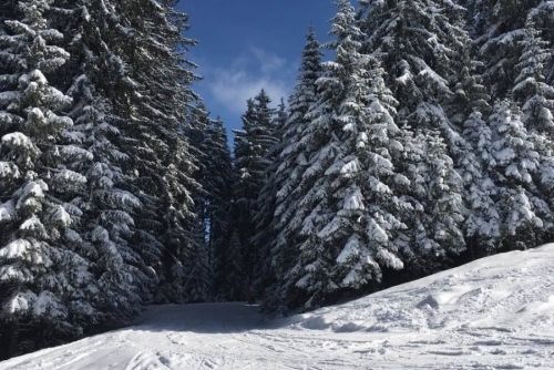 Ve Ski amadé vládne pravá zima!