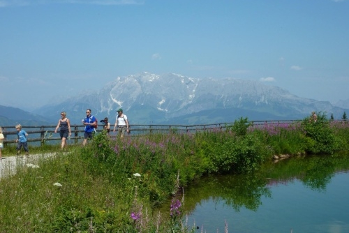 Letní Alpy fotoaparátem našich hostů