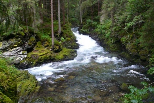 Za turistikou podél WILDE WASSER