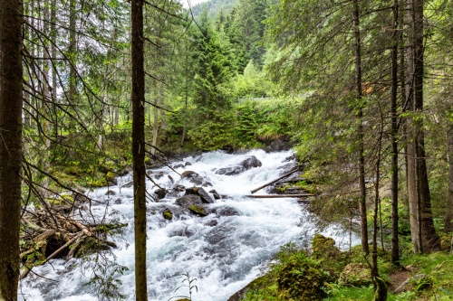 Wilde Wasser Untertal - ráj stezek blízko Schladmingu - stezky vedou překrásnou přírodou