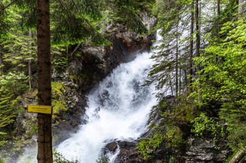 Wild Wasser Rohrmoos Untertal Schladming