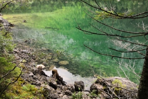 Fotografie od našich hostů