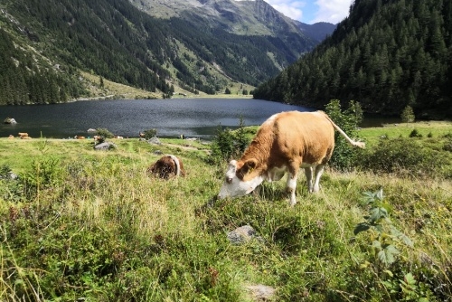 Fotografie od našich hostů