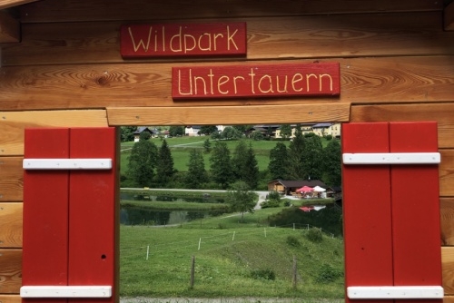 Wildpark Untertauern - tip na výlet s dětmi