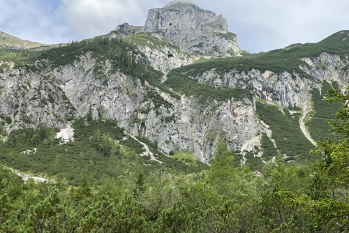 Soutěska Silberkarklamm - kosodřevina