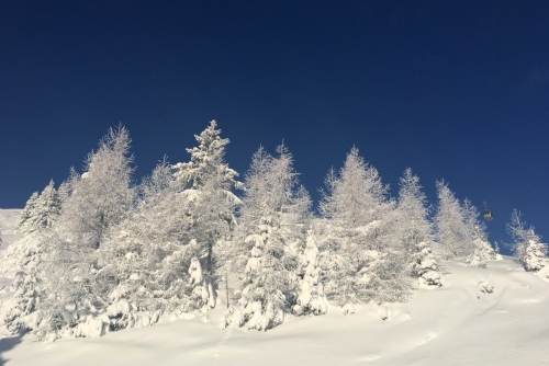 Ski areál: Zauchensee