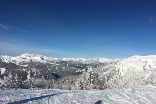 Ski areál: Zauchensee