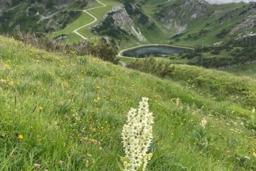 Zauchensee aneb čtyři vrcholy najednou