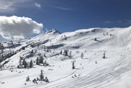 Ski areál: Wagrain – Snow Space Salzburg