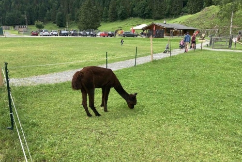 Za zvířátky a rybolovem do Freizeit & Wildpark Untertauern