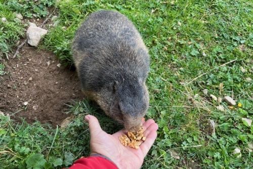 Zažijte Babí léto v rakouských Alpách