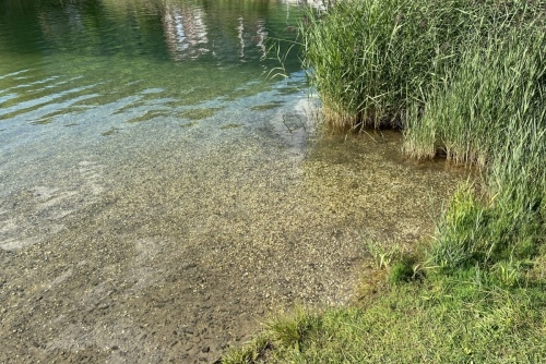 Přírodní koupaliště v okolí Altenmarktu - Reitdorf - průzračná voda