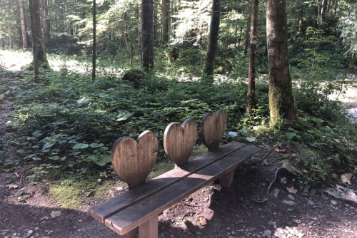 Scheffau - stezka lesem Mühlenrundweg