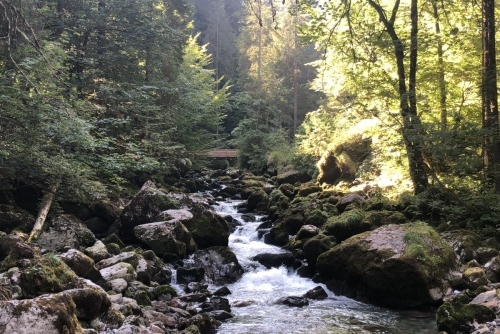Scheffau - stezka lesem Mühlenrundweg