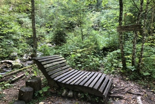 Scheffau - stezka lesem Mühlenrundweg