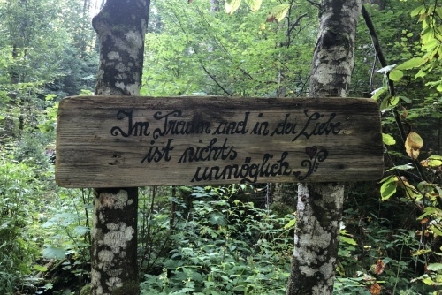 Scheffau - stezka lesem Mühlenrundweg