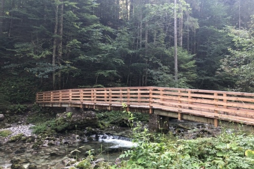 Scheffau - stezka lesem Mühlenrundweg