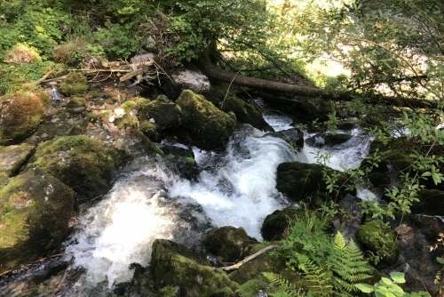 Scheffau - stezka lesem Mühlenrundweg