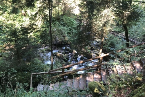 Scheffau - stezka lesem Mühlenrundweg