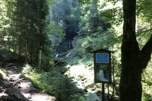 Scheffau - stezka lesem Mühlenrundweg