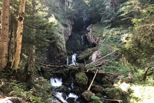 Scheffau - stezka lesem Mühlenrundweg