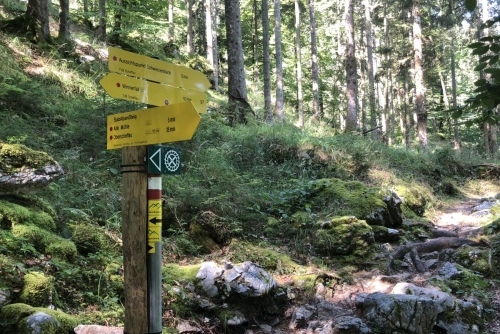 Scheffau - stezka lesem Mühlenrundweg