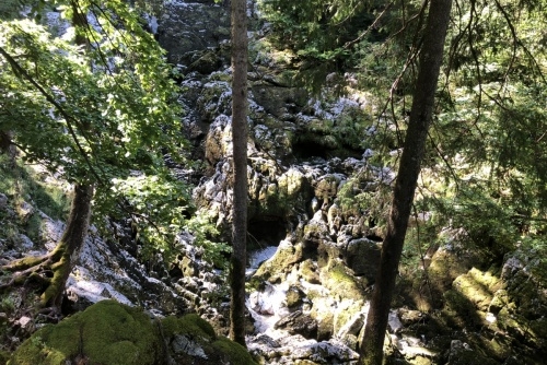 Scheffau - stezka lesem Mühlenrundweg