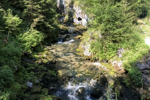 Scheffau - stezka lesem Mühlenrundweg
