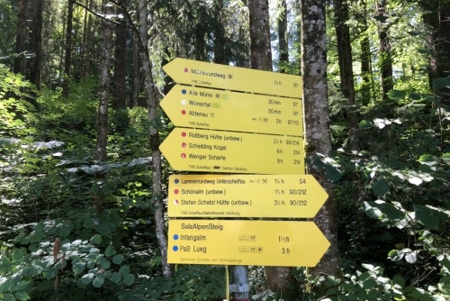 Scheffau - stezka lesem Mühlenrundweg