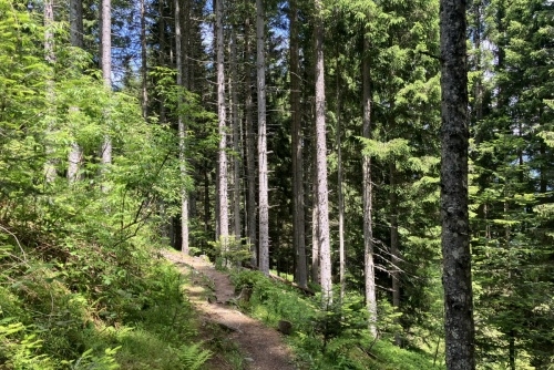 Pokoření hory Lackenkogel - 2.054 m.n.m.