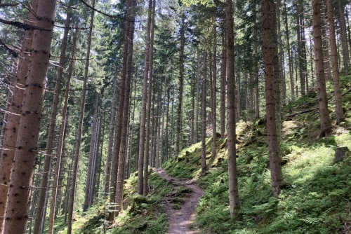 Pokoření hory Lackenkogel - 2.054 m.n.m.