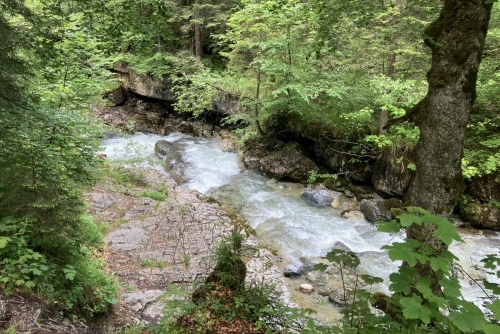 Za zvířátky a rybolovem do Freizeit & Wildpark Untertauern