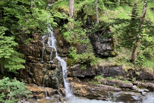 Za zvířátky a rybolovem do Freizeit & Wildpark Untertauern