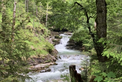 Za zvířátky a rybolovem do Freizeit & Wildpark Untertauern