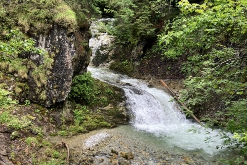 Za zvířátky a rybolovem do Freizeit & Wildpark Untertauern