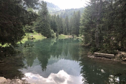 Okruh kolem jezera Almsee