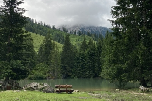 Okruh kolem jezera Almsee