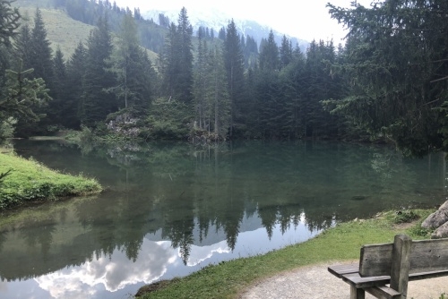 Okruh kolem jezera Almsee