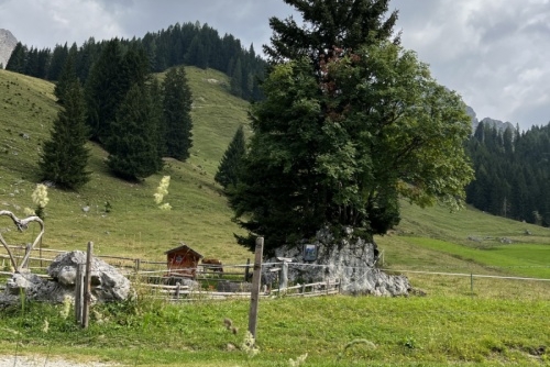 Okruh kolem jezera Almsee