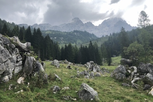 Okruh kolem jezera Almsee