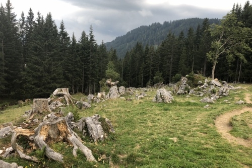 Okruh kolem jezera Almsee