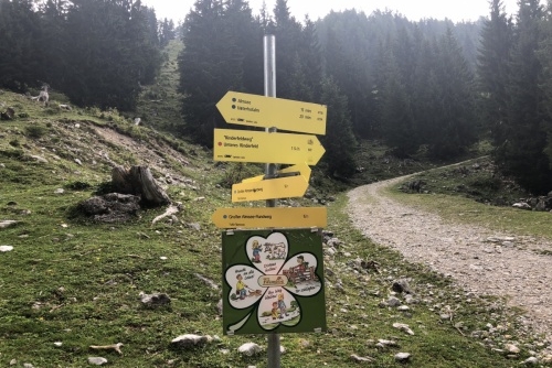 Okruh kolem jezera Almsee