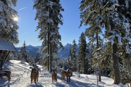 Ski areál: Eben im Pongau – Monte Popolo